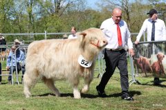 316-52-d-Starabh-Gheal-2th-of-Maje-Marco-Paetau-Gardelegen