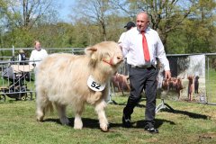 317-52-d-Starabh-Gheal-2th-of-Maje-Marco-Paetau-Gardelegen-2