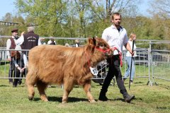 318-53-c-Liv-vom-habershof-Marian-Habers-Neuenhaus