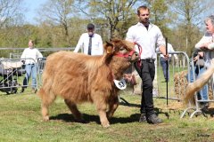 319-53-c-Liv-vom-habershof-Marian-Habers-Neuenhaus-2