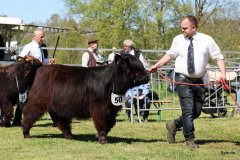 321-5-c-Isac-vom-Kreienmoor-Matthias-Mueller-Reich-Osterholz-Scharmbeck0