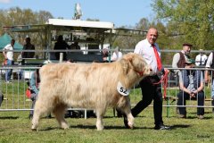 322-52-d-Starabh-Gheal-2th-of-Maje-Marco-Paetau-Gardelegen-3