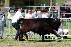 324-5-c-Isac-vom-Kreienmoor-Matthias-Mueller-Reich-Osterholz-Scharmbeck0-3