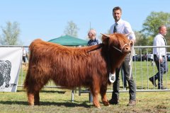 328-48-a-Proiseag-20.-von-Heise-Familie-Beduerftig-Beverstedt-Hollen-3