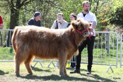 329-53-c-Liv-vom-habershof-Marian-Habers-Neuenhaus-3