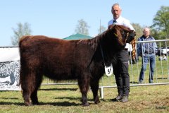 330-51-b-Venus-vom-Buersteler-Feld-Andreas-Czich-Stuhr-2