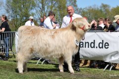 332-52-d-Starabh-Gheal-2th-of-Maje-Marco-Paetau-Gardelegen-4