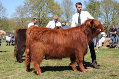 334-40-b-Carla-Beg-von-Heise-Familie-Beduerftig-Beverstedt-Hollen-15