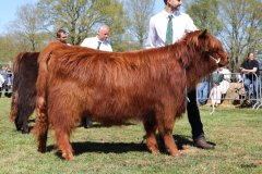 335-40-b-Carla-Beg-von-Heise-Familie-Beduerftig-Beverstedt-Hollen-16