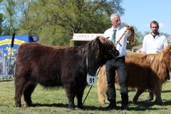 336-51-b-Venus-vom-Buersteler-Feld-Andreas-Czich-Stuhr-4