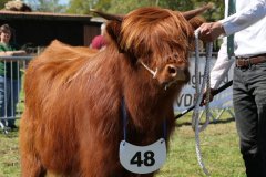 337-48-a-Proiseag-20.-von-Heise-Familie-Beduerftig-Beverstedt-Hollen-4