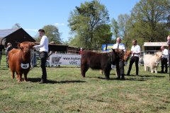 338-Faersen-Klasse-4a-4