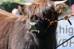 340-51-b-Venus-vom-Buersteler-Feld-Andreas-Czich-Stuhr-5