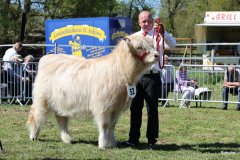 341-52-d-Starabh-Gheal-2th-of-Maje-Marco-Paetau-Gardelegen-5