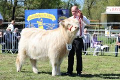 342-52-d-Starabh-Gheal-2th-of-Maje-Marco-Paetau-Gardelegen-6