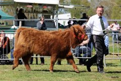 343-36-a-Ceat-1.-von-Friedeburg-Jens-Brabander-Friedeburg-12