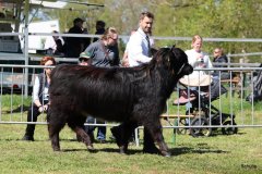 344-42-a-Black-Dossan-6.-von-Heise-Familie-Beduerftig-Beverstedt-Hollen-9