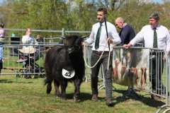 345-42-a-Black-Dossan-6.-von-Heise-Familie-Beduerftig-Beverstedt-Hollen-10