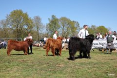 346-Auswahl-Klassensieg-Faersen-Klasse-4