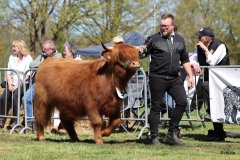 348-54-d-Mabel-of-Greenfield-Mario-Mueller-Oyten-