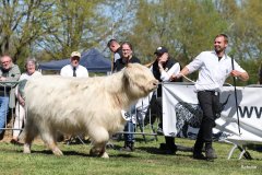 350-56-a-Lady-vom-Habershof-Marian-Habers-Neuenhaus-2