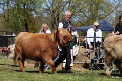 351-60-b-Darina-vom-Zockeldraff-Manfred-Heinz-Scholen