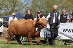 352-60-b-Darina-vom-Zockeldraff-Manfred-Heinz-Scholen-2