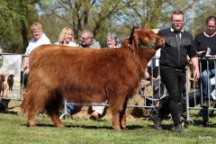 353-54-d-Mabel-of-Greenfield-Mario-Mueller-Oyten-2