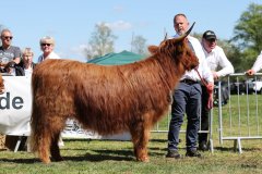 354-62-e-Sora-Claudia-und-Rene-Schulze-Gardelegen