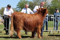 356-62-e-Sora-Claudia-und-Rene-Schulze-Gardelegen-2