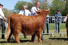 357-62-e-Sora-Claudia-und-Rene-Schulze-Gardelegen-3