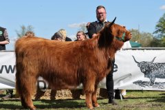 358-54-d-Mabel-of-Greenfield-Mario-Mueller-Oyten-3