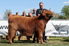 359-54-d-Mabel-of-Greenfield-Mario-Mueller-Oyten-4