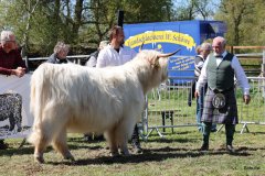 360-56-a-Lady-vom-Habershof-Marian-Habers-Neuenhaus-3