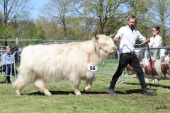 361-56-a-Lady-vom-Habershof-Marian-Habers-Neuenhaus-4