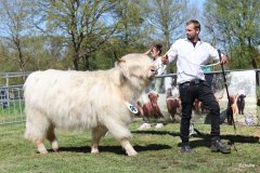 362-56-a-Lady-vom-Habershof-Marian-Habers-Neuenhaus-5