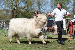 363-56-a-Lady-vom-Habershof-Marian-Habers-Neuenhaus-6