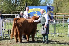 364-55-g-Anabla-6th-of-Breekmoor-Andre-Martens-Schiffdorf-OT-Wehdel