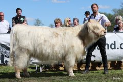 365-56-a-Lady-vom-Habershof-Marian-Habers-Neuenhaus-7