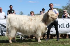 366-56-a-Lady-vom-Habershof-Marian-Habers-Neuenhaus-8