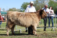 367-57-c-Liane-von-der-Egge-Chr.-u.-St.-Brand-Brands-Hof-GbR-Rinteln-Volksen