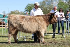 368-57-c-Liane-von-der-Egge-Chr.-u.-St.-Brand-Brands-Hof-GbR-Rinteln-Volksen-2