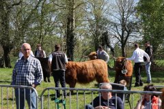 369-Warten-auf-die-Praemierung