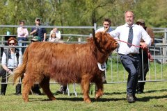 372-62-e-Sora-Claudia-und-Rene-Schulze-Gardelegen-5