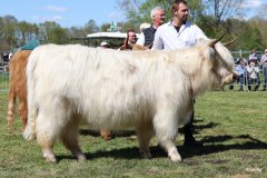 373-56-a-Lady-vom-Habershof-Marian-Habers-Neuenhaus-9