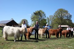 375-Faersen-Klasse-5-2