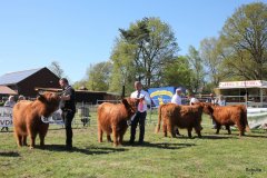 376-Faersen-Klasse-5-3