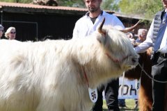 378-56-a-Lady-vom-Habershof-Marian-Habers-Neuenhaus-11