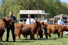 379-Faersen-Klasse-5-4