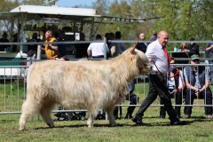 380-70-e-Mor-Gheal-2nd-of-Maje-Marco-Paetau-Gardelegen